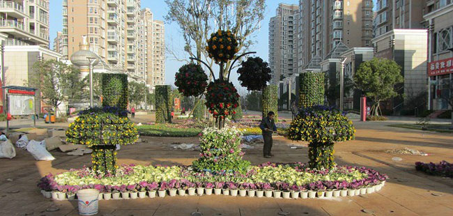 �V���G�����